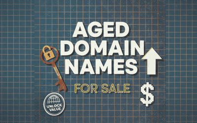The Value of a Domain Name: Insights from the Experts