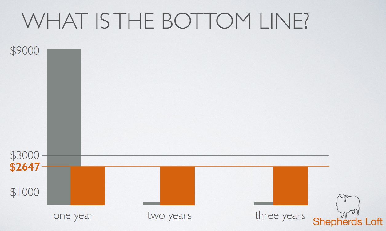 What is the bottom line?